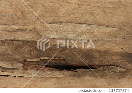 Black rotten hole in wooden plank 137737874