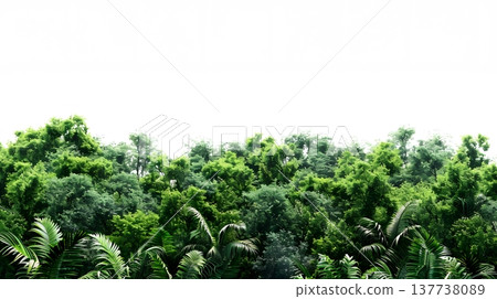 A lush green forest with dense foliage isolated on a clean white background. 137738089
