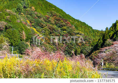 靜岡縣週知郡森町梶島:山村風景 靜岡縣週知郡森町梶島:山村風景 137738575