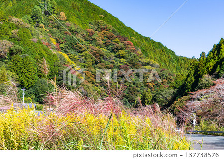 Kajishima, Morimachi, Shuchi District, Shizuoka Prefecture: Mountain village scenery 137738576