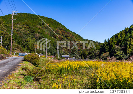 靜岡縣週知郡森町梶島：山村風景 137738584