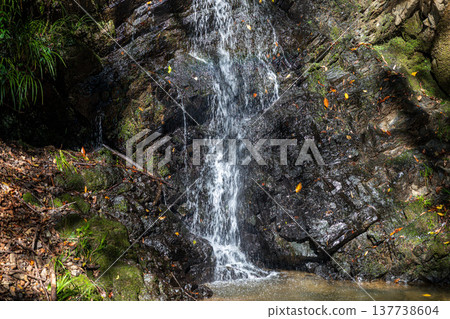 靜岡縣週知郡森町梶島:山村風景 靜岡縣週知郡森町梶島:山村風景 137738604