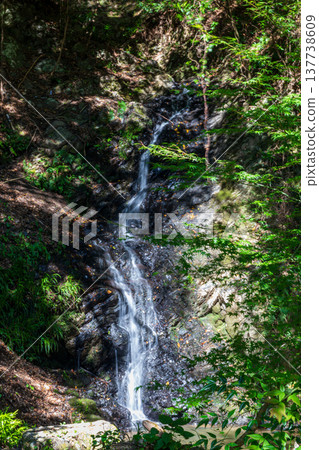 靜岡縣週知郡森町梶島:山村風景 靜岡縣週知郡森町梶島:山村風景 137738609