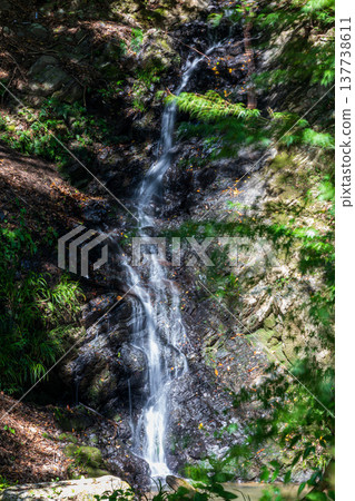 靜岡縣週知郡森町梶島:山村風景 靜岡縣週知郡森町梶島:山村風景 137738611