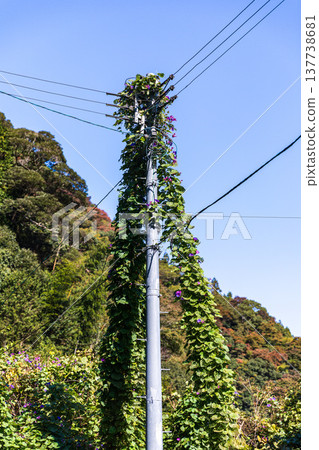 Kajishima, Morimachi, Shuchi District, Shizuoka Prefecture: Mountain village scenery Kajishima, Morimachi, Shuchi District, Shizuoka Prefecture: Mountain village scenery 137738681