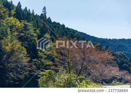 Kajishima, Morimachi, Shuchi District, Shizuoka Prefecture: Mountain village scenery Kajishima, Morimachi, Shuchi District, Shizuoka Prefecture: Mountain village scenery 137738684