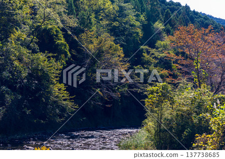 靜岡縣週知郡森町梶島:山村風景 靜岡縣週知郡森町梶島:山村風景 137738685