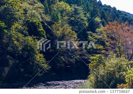 靜岡縣週知郡森町梶島:山村風景 靜岡縣週知郡森町梶島:山村風景 137738687