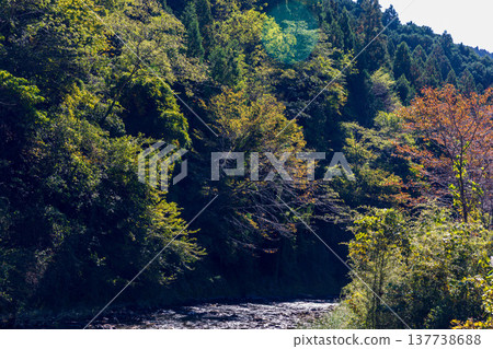 靜岡縣週知郡森町梶島：山村風景 137738688