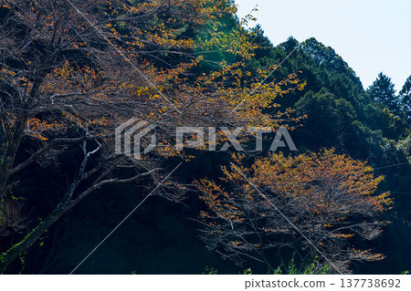 Kajishima, Morimachi, Shuchi District, Shizuoka Prefecture: Mountain village scenery Kajishima, Morimachi, Shuchi District, Shizuoka Prefecture: Mountain village scenery 137738692