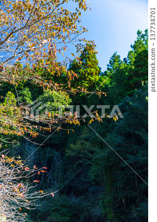 Kajishima, Morimachi, Shuchi District, Shizuoka Prefecture: Mountain village scenery Kajishima, Morimachi, Shuchi District, Shizuoka Prefecture: Mountain village scenery 137738701