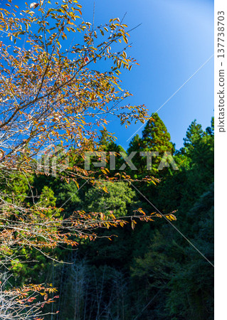 Kajishima, Morimachi, Shuchi District, Shizuoka Prefecture: Mountain village scenery Kajishima, Morimachi, Shuchi District, Shizuoka Prefecture: Mountain village scenery 137738703