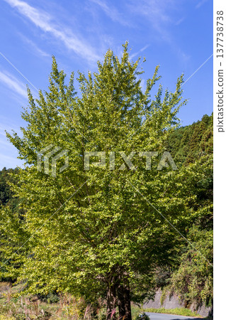靜岡縣秀知郡守町戶野爪：山村風光 137738738