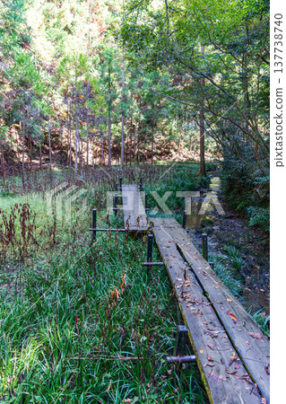 Kajishima, Morimachi, Shuchi District, Shizuoka Prefecture: Mountain village scenery 137738740