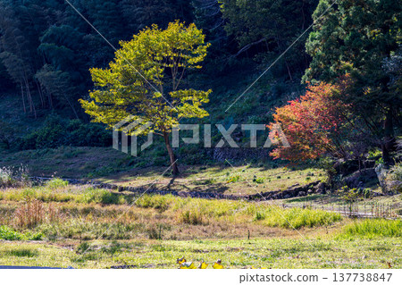 靜岡縣週知郡森町梶島:山村風景 靜岡縣週知郡森町梶島:山村風景 137738847