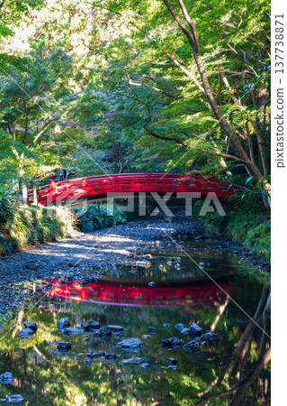 靜岡縣周知郡森町一宮市大國神社及周邊風景 靜岡縣周知郡森町一宮市大國神社及周邊風景 137738871
