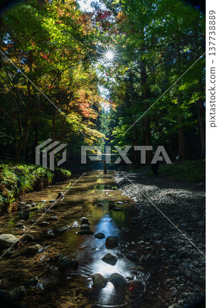 Ichinomiya, Mori-machi, Shuchi-gun, Shizuoka Prefecture Okuni Shrine and the surrounding scenery Ichinomiya, Mori-machi, Shuchi-gun, Shizuoka Prefecture Okuni Shrine and the surrounding scenery 137738889