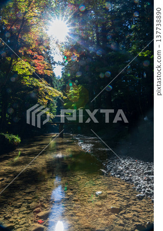 Ichinomiya, Mori-machi, Shuchi-gun, Shizuoka Prefecture Okuni Shrine and the surrounding scenery Ichinomiya, Mori-machi, Shuchi-gun, Shizuoka Prefecture Okuni Shrine and the surrounding scenery 137738890