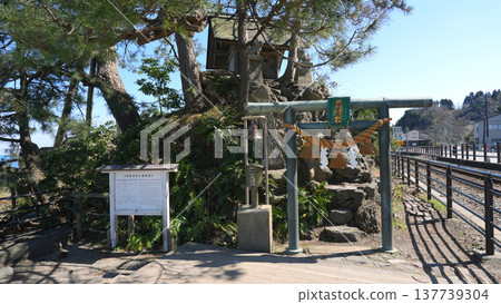春日天晴海岸:義經神社與冰見線 春日天晴海岸:義經神社與冰見線 137739304