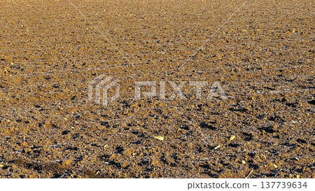 View of fields in early spring after harvest, brown plowed fields View of fields in early spring after harvest, brown plowed fields 137739634