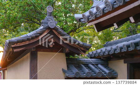 Nara, Japan - Sep 26 2024, panoramic view of tiled roofs of temple buildings on territory of Todaiji temple, in background green foliage of a tree, without people, at daytime, Nara, Japan 137739884