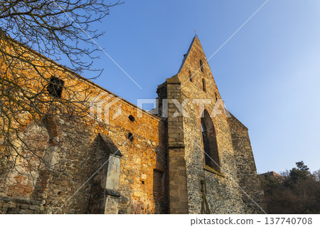 Rosa coeli monastery ruins in Dolni Kounice, Czechia 137740708