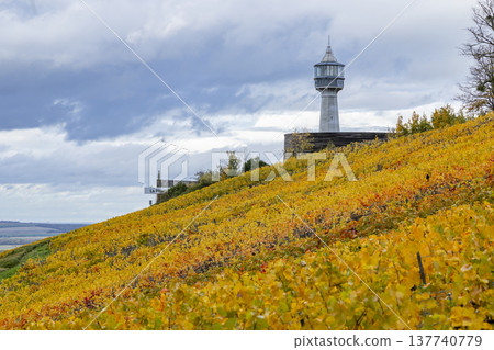 Verzenay lighthouse overlooking Champagne region autumn vineyard 137740779