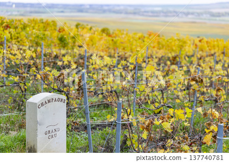 Grand Cru Champagne vineyard stone marker in Verzenay, France Grand Cru Champagne vineyard stone marker in Verzenay, France 137740781