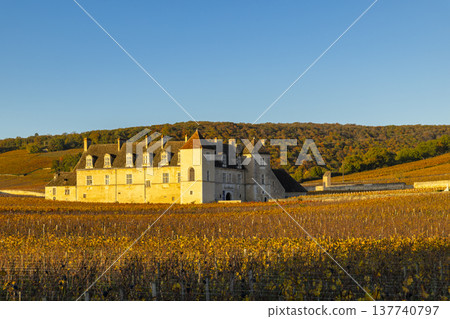 Chateau du Clos de Vougeot standing among autumn vineyards in Burgundy, France Chateau du Clos de Vougeot standing among autumn vineyards in Burgundy, France 137740797