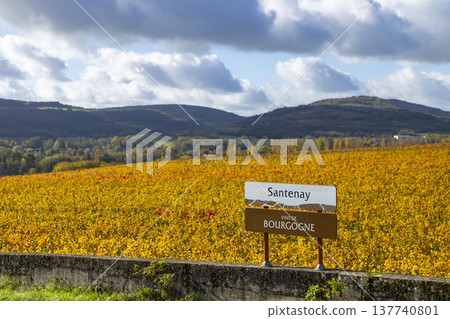 Santenay vineyards representing Bourgogne wine region in autumn 137740801