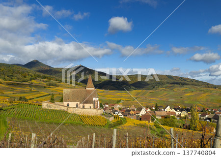 Fortified church and Hunawihr village in autumn Alsace vineyards Fortified church and Hunawihr village in autumn Alsace vineyards 137740804