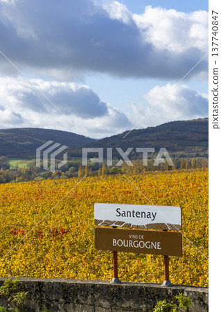 Santenay sign marking Bourgogne vineyard destination 137740847