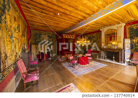 Royal bedroom with traditional tapestries in Chateau de Saint Fargeau 137740914