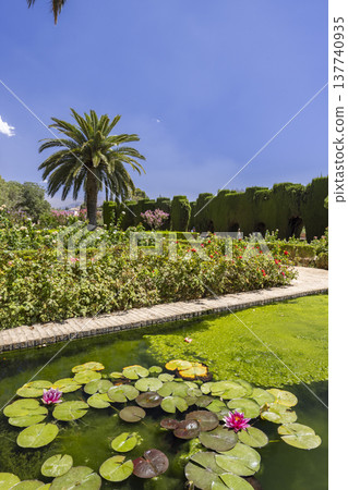 Alhambra gardens pond with water lilies in Granada Alhambra gardens pond with water lilies in Granada 137740935