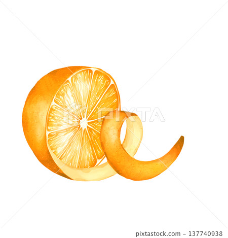 Hand drawn illustration of juicy orange citrus slice and orange peel zest. Botanical fruit element for juice packaging, cafe menus, and healthy food design. 137740938