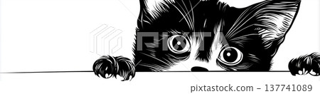 Black cat peeking with big curious eyes. Black domestic cat peeking from the side with wide, observing eyes Black cat peeking with big curious eyes. Black domestic cat peeking from the side with wide, observing eyes 137741089