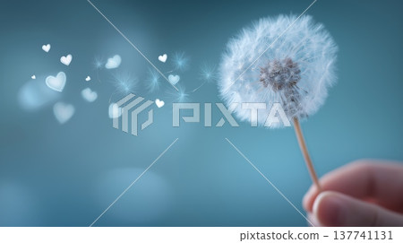 Hand holding dandelion blowing heart seeds. Human hand holding a dandelion while seeds with heart shapes are floating in the air against a soft blue background 137741131