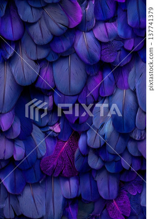 Purple and blue feathers creating abstract texture background. Overlapping purple and blue feathers creating a soft, natural, and rich textural pattern 137741379