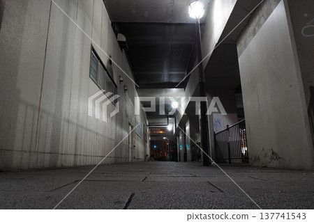 高架鐵路下的一條小巷，籠罩在夜的寂靜之中。 137741543