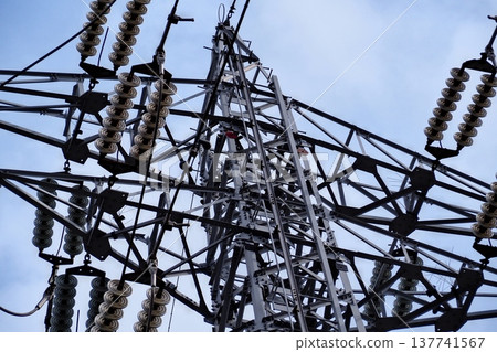 The complex structure of power transmission towers and the details of their insulators. 137741567
