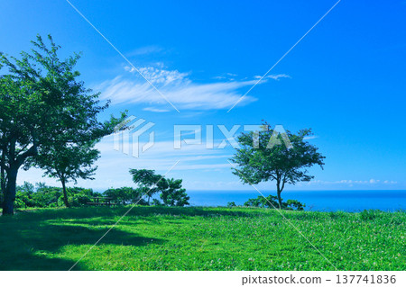 Summer scenery - High grassland and blue sea - 137741836