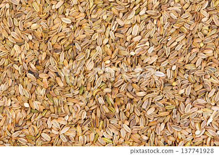 Dried fennel seeds background. Dried fennel seeds background. 137741928