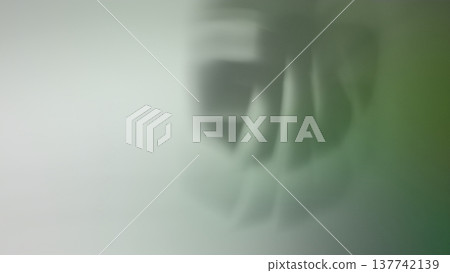 Monstera plant silhouette. Exotic overlay. Defocused green gray color nature organic foliage contour abstract background. Monstera plant silhouette. Exotic overlay. Defocused green gray color nature organic foliage contour abstract background. 137742139