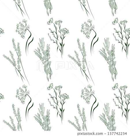 A seamless pattern of line drawings featuring a set of herbs and flowers A seamless pattern of line drawings featuring a set of herbs and flowers 137742234