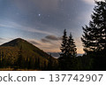 Starry night over mountain peak with coniferous forest and light clouds. 137742907