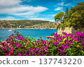 Flowery beach in the bay of Villefranche sur Mer, France 137743220