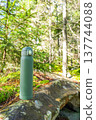 Green thermos on the stone. Thermal bottle on the background of the forest. Sunny day in the forest. 137744088
