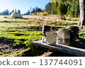 Hiker preparing freeze-dried meal in a mountain camp with tent. 137744091