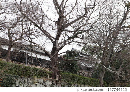 2024年，福岡，福岡市，風景，中央區，城內，福岡城，福岡城遺址，第103部分 137744323