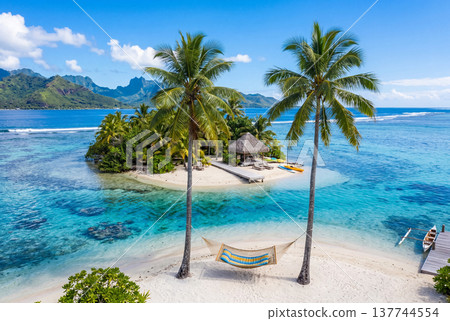 Hammock between palm trees on tropical private island beach 137744554